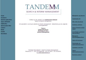 Website Tandemm Recruitment